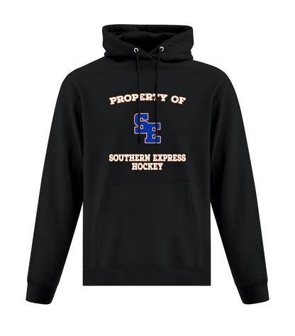 "Property of Southern Express" U13 - Pullover Hoodie